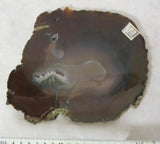 Achatedelsteinplatte braun geld weiß grün - oval - ca. 18cm x 20cm x 9mm - 600gr