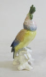 Papagei Kakadu Alt Porzellanfigur Enz