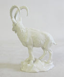 Steinbock Nymphenburg 1936