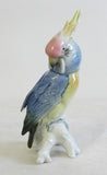 Papagei Kakadu Alt Porzellanfigur Enz